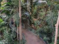 Autumn visit Montreal Biodome 🇨🇦