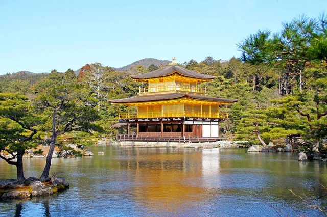 Enchanting Vibes of Kyoto 🏯🌸