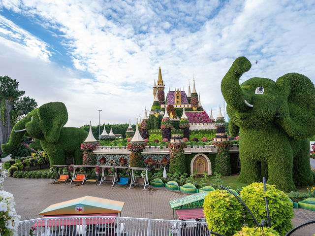 Miracle Garden Dubai 🗺️