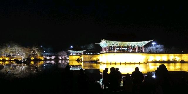 【雁鴨池】夜晚湖光倒影不容錯過