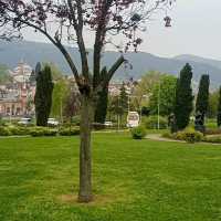 bursa 