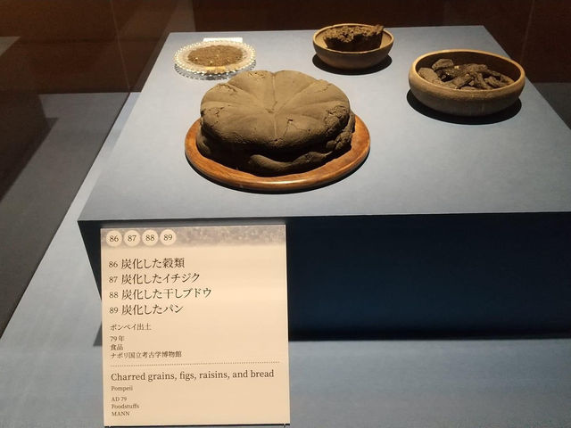 The Miyagi Museum of Art 🇯🇵