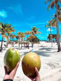 Miami Beach 🏝️ 