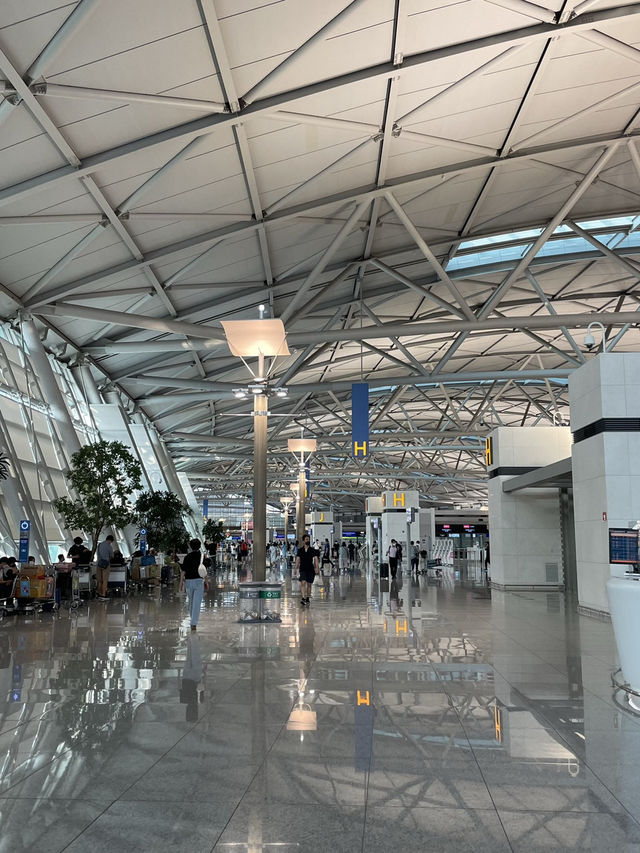 여행의 시작은 공항✈️