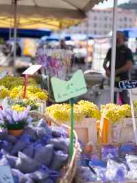 Fish market - must visit in Marseille 