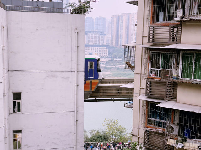 Half-Day in Chongqing: Scenic Views, History, and High Tea