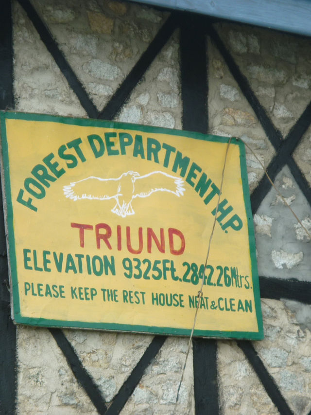 Triund Hike, Dharamshala
