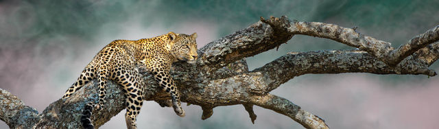 Lake Manyara National Park