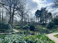 Springtime in Birmingham: From The Vale to Winterbourne Gardens