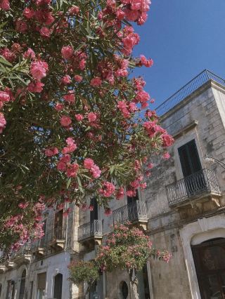 Ostuni 🇮🇹