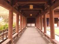That China Spring Getaway YOU need!