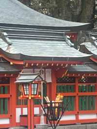 This is UNESCO World Heritage Site