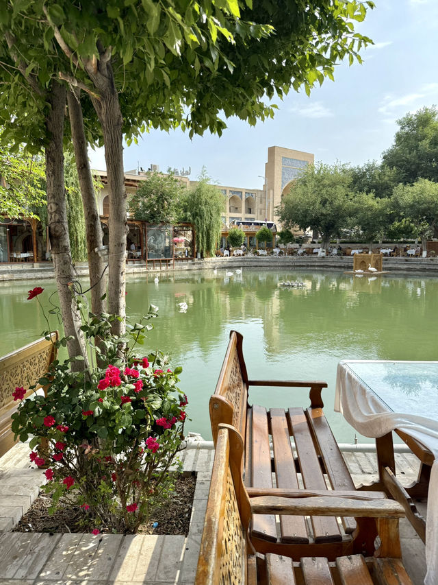 Springtime Magic at Lyabi Khause – Bukhara’s Heartbeat