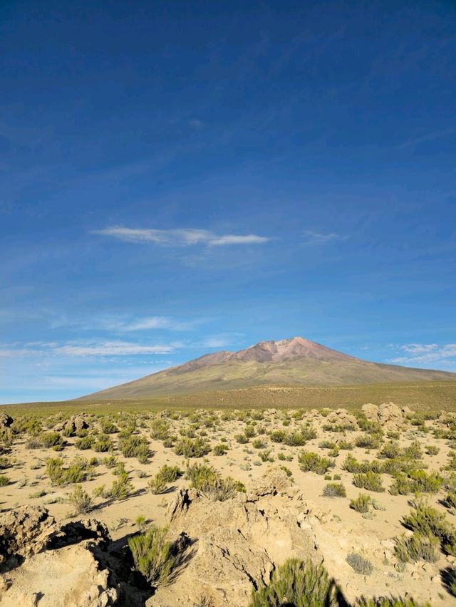 해외여행 볼리비아 Mirador Volcán Ollagüe 에서 먹은 라마 햄버거 