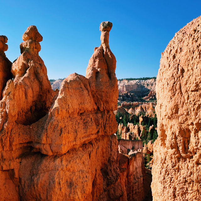 🚐 Getting Around Bryce Canyon National Park: Transportation Tips