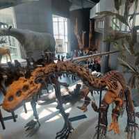 An excellent dinosaurs collection in Shanghai Natural History Museum 