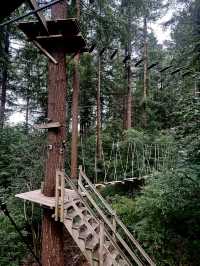 Climbing Forest For Adventure Seeker
