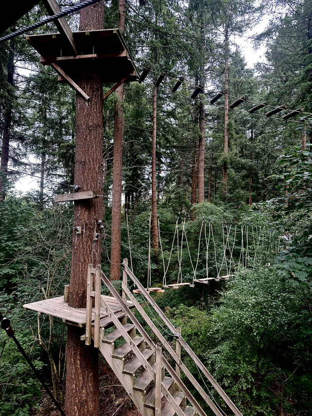 Climbing Forest For Adventure Seeker