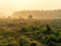 Into the Wild: Exploring Chitwan National Park, Nepal 