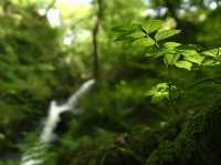 Dolgoch Waterfall - a hidden gem located within Snowdonia’s beautiful national park 