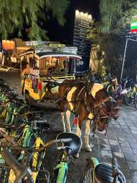 Here no bike 🏍️! All true about 3 days in Gili Trawangan Travel Guide 