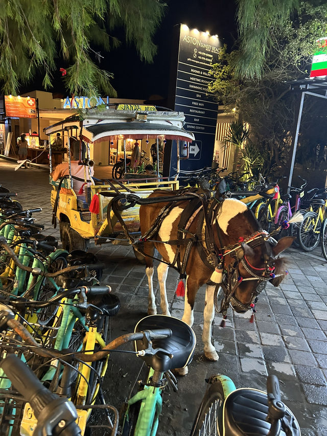 Here no bike 🏍️! All true about 3 days in Gili Trawangan Travel Guide 