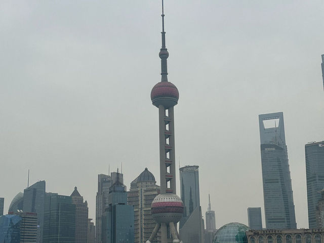 上海自由行：城市魅力與東坡肉的美味邂逅