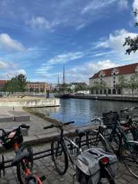 See Copenhagen in Color: Hop On, Discover More! ❤️🚌🇩🇰
