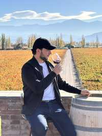 Why Mendoza Feels Like Europe’s Mediterranean But With Argentine Wine