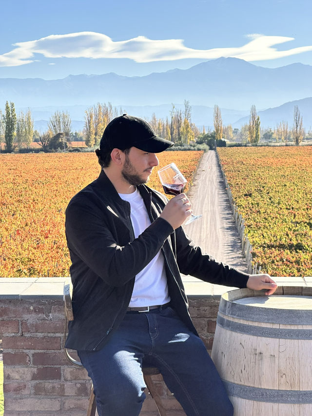 Why Mendoza Feels Like Europe’s Mediterranean But With Argentine Wine
