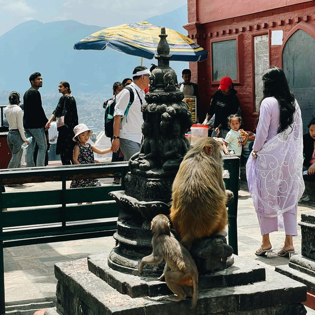 Mystic Views & Monkey Business: Your Guide to Swayambhunath (Monkey Temple)