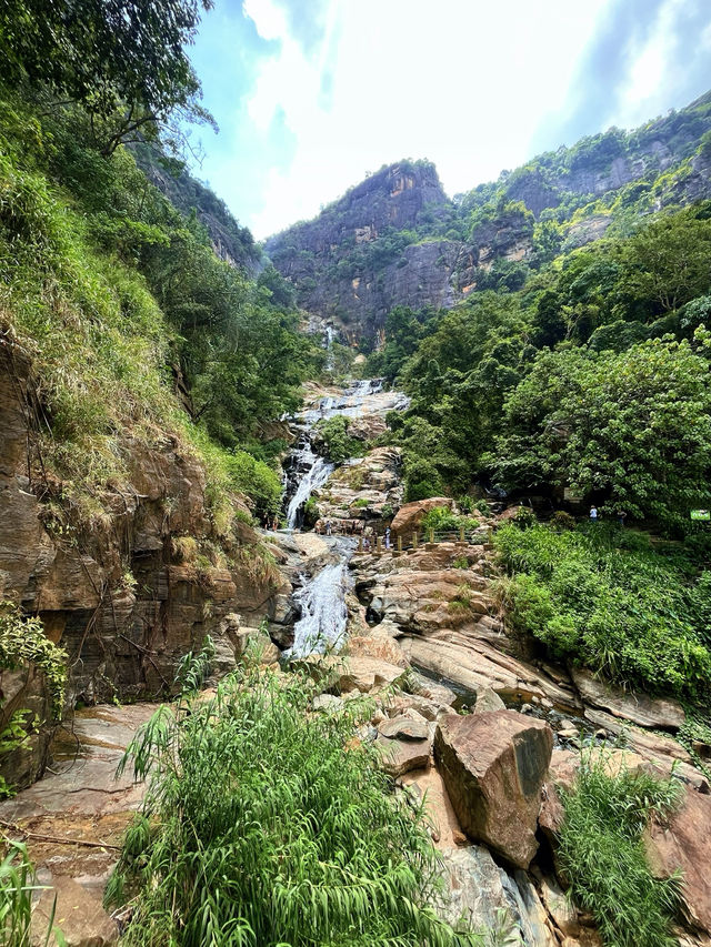 Однодневный тур по Элле — незабываемое приключение! 🌿🐘