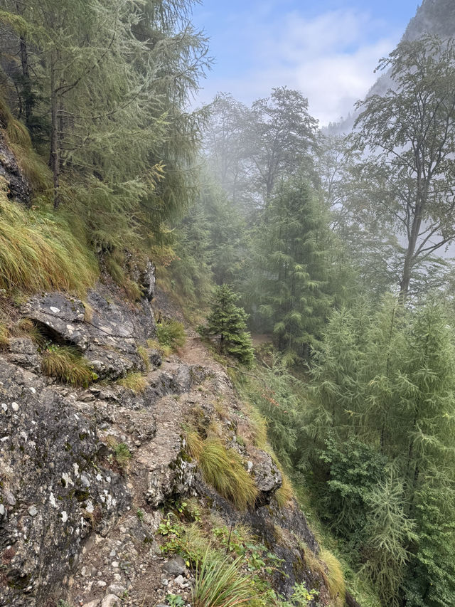 Escape into nature just an hour from the Bucharest? 🏔️