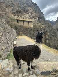 🏔️ Ollantaytambo: Where the Inca Empire Lives On
