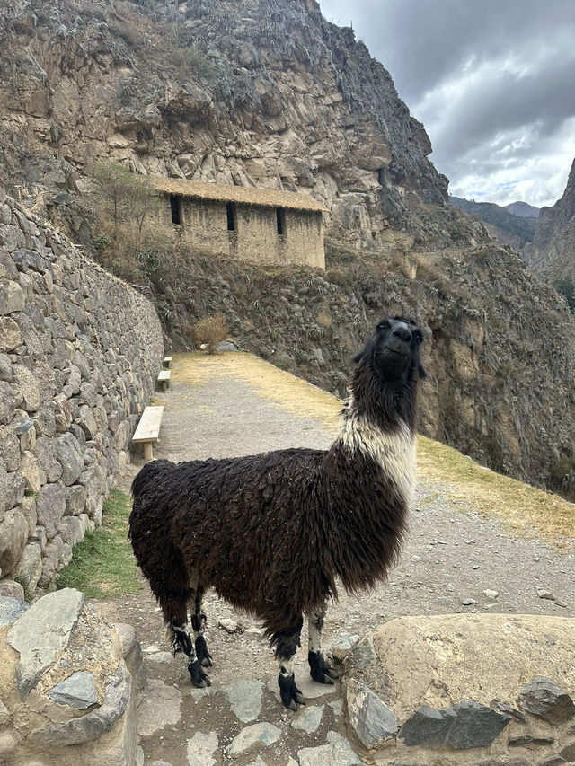 🏔️ Ollantaytambo: Where the Inca Empire Lives On
