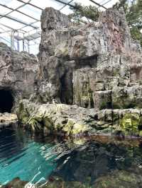 🌊 里斯本海洋博物館遊記