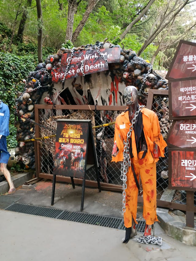 EWorld Tower Fun🎡 EWorld Tower Fun🎡