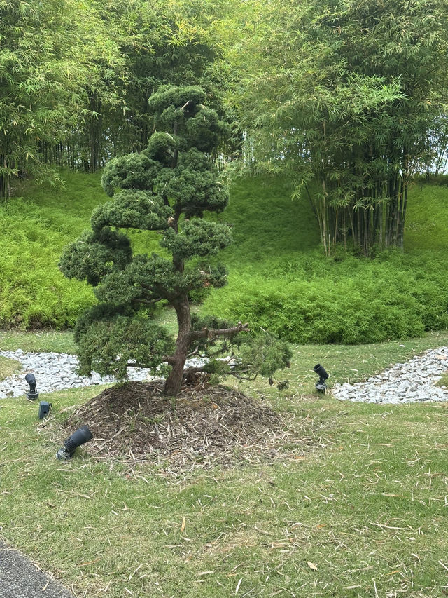 💮 🌿✨ Gardens by the Bay -Daytime