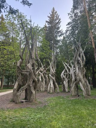 靜謐的佩列傑利基諾寶地，適合休息與靈感啟發