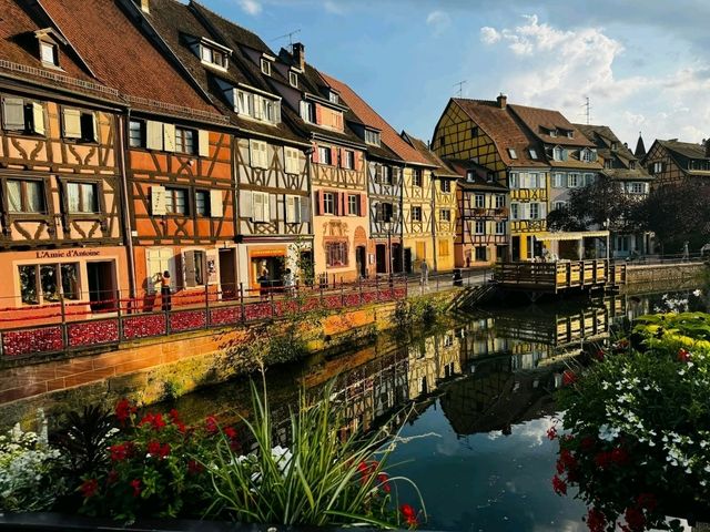 Colmar Dreamland🌈