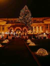 Stuttgart Christmas Market 🌟