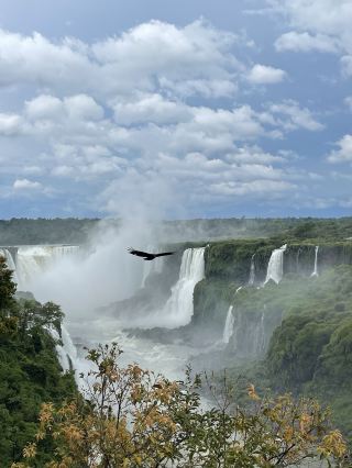 อีกวาซู เมจิค🌊