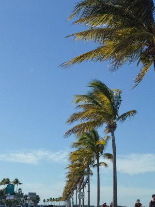 플로리다 키스(Florida Keys): 미국에서 가장 아름다운 드라이브 코스 중 하나.