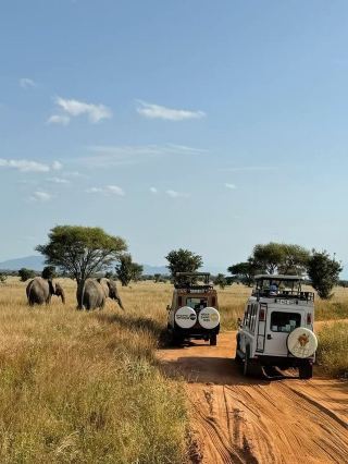 The Primal Pulse of the Bush: Kruger National Park, South Africa 🇿🇦🦁