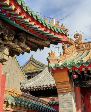 🇨🇳 Exploring Shenyang, China