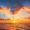 kellan_2032