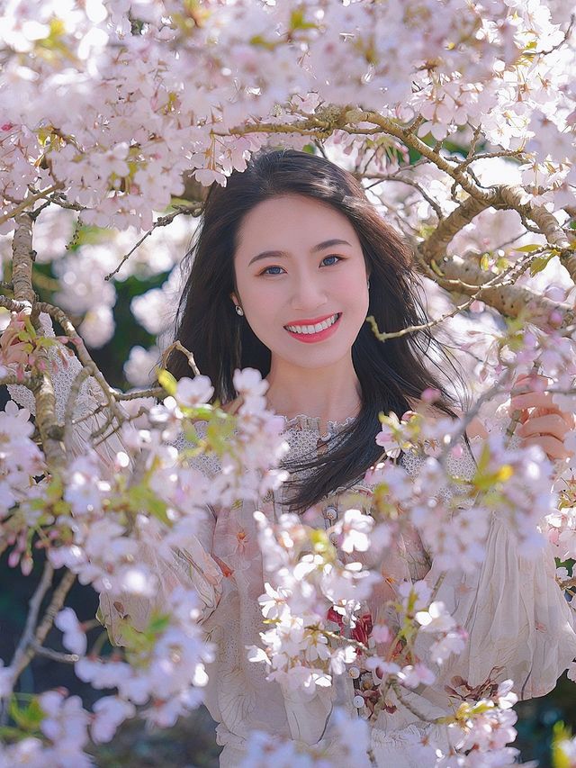 "March" San Francisco cherry blossom photo shoot~ This is how you do it!!