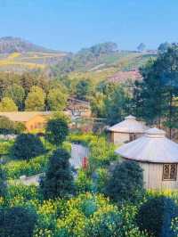 Changxing Taojiawu Rural Hotel, even ten miles of peach forest can't hide it!