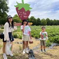 Harvesting Happiness: Fruits and Vegetables 