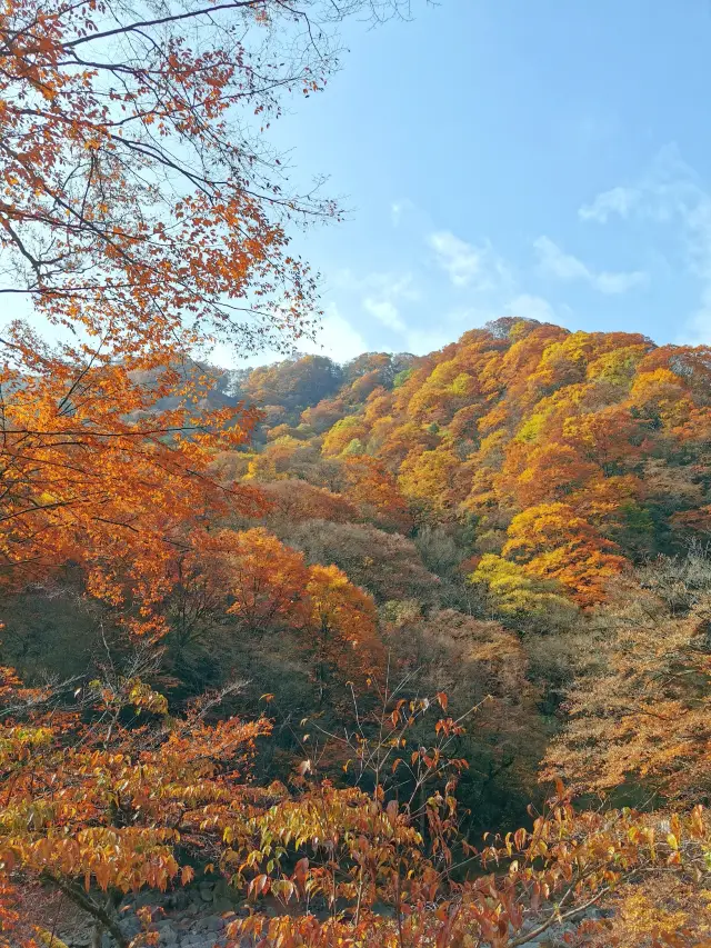 The Micang Mountain Scenic Area of Guangwushan